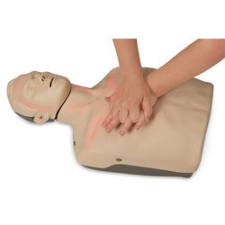 Brayden CPR Training Manikin with Red Indicator Lights