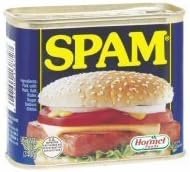 Spam 340 g