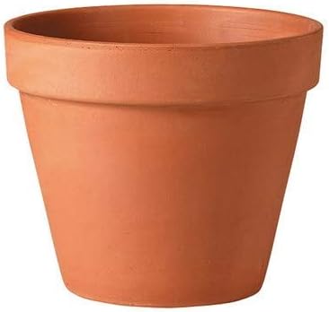 Deroma 2.8" Terra Cotta Standard Clay Pot (1)