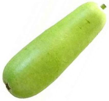 Fresh Asian Bottle Gourd Doodhi Lauki Vegetable - Imported Weekly from Asia