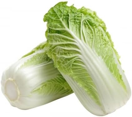 Veenas Fresh Chinese Cabbage | 1KG | Greenish Chinese Leafy Vegetable | Nutrients and Minerals | Salad |Chinese Cuisine