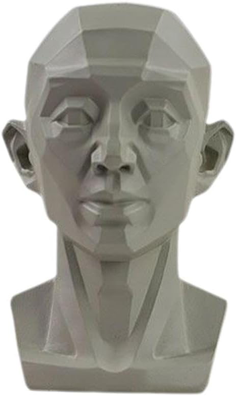 BaYuYPOO Generic Planar Head Model for Artists Learn Planes of Face, Drawing Mannequin Human Manikin Head for Medical and Artistic Drawing Skecthing Painting Learn Planes of Face