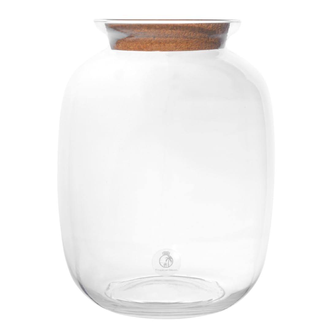Terrarium Glass Jar with Cork Lid for Plants H: 32 cm, Glass Planter Pot, Closed Terrarium, Office Home Decoration (with Standard Lid, Glass Only)