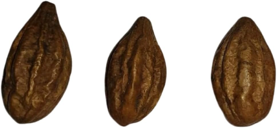 Harad Badi - 8.81Oz / 250gm - Yellow Harad badi - Haritaki - Kadukkai Terminalia Chebula