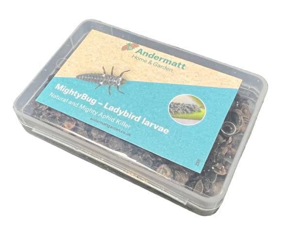 MightyBug - Larvae Aphid Killer - Andermatt Home and Garden (250)