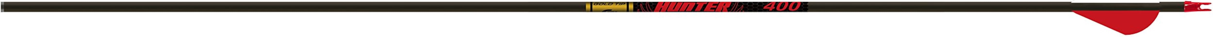 Gold Tip Hunter Arrows with Raptor Vane (Pack of 6)
