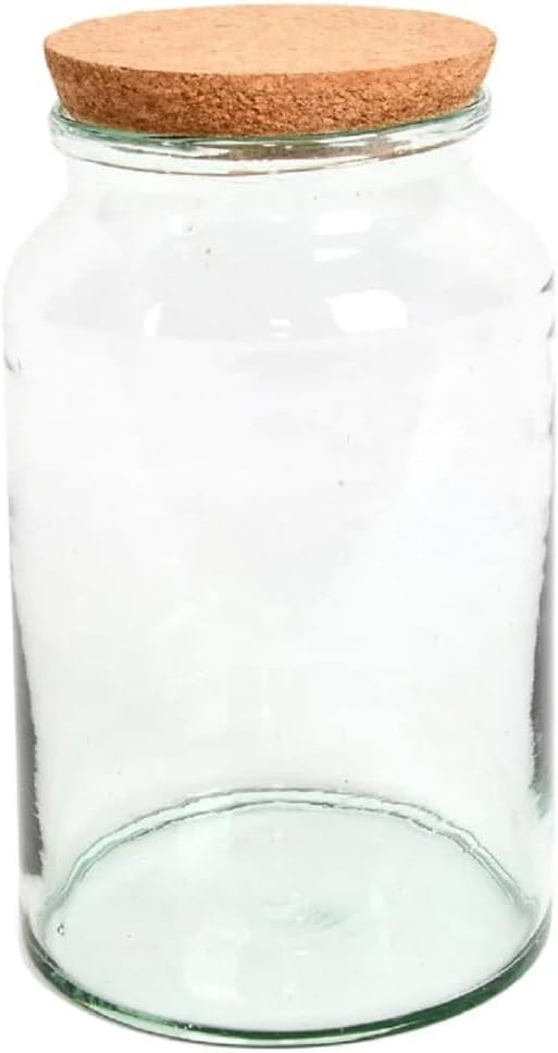 Esschert Design AGG69 Half Open Terrarium Bottle Medium