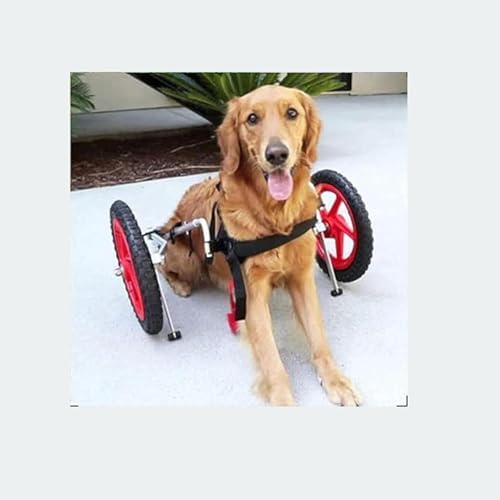 Dog wheelchair, help pets with paralyzed hind legs regain mobility, two-wheeled dog stroller, reflex effect dog wheelchair, disabled dog stroller