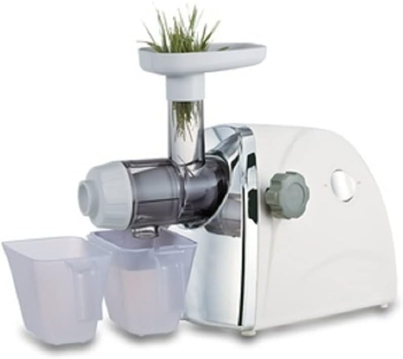 Horizontal Single Auger Slow Masticating Juicer Extractor Fruit Vegetable Wheatgrass Orange Juice Extractor Cold Press Juicer Machine with Quiet Motor & Easy Cleaning