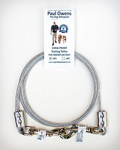 Paul Owens, The Original Dog Whisperer 4 Ft. Chew-Proof Training Tether for Dogs & Puppies