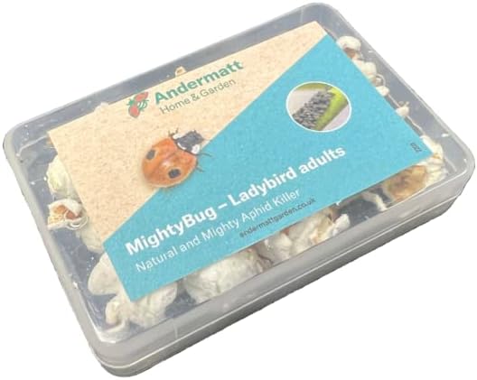 MightyBug - Ladybirds | Adult Ladybird Aphid Killer - Andermatt Home and Garden (25)