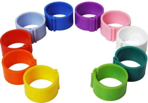 Dragon Poultry 50 x 12 mm Clip On Leg Rings for Chickens, Ducks, Hens, Poultry, Bantams (Mixed)