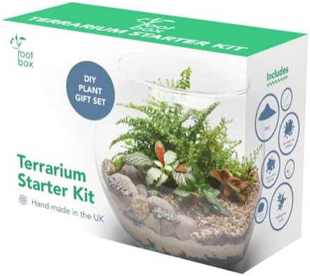 Root box™ Large Plant Terrarium Kit in scented giftbox | Succulents, Bonsai, Fittonia, Cactus | Unique DIY GIFT for Summer Anniversaries Birthdays Employees (CLEARANCE)
