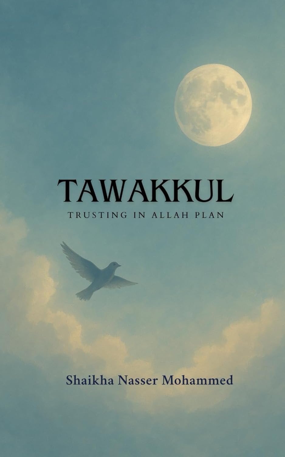 Tawakkul: Trusting in Allah plan