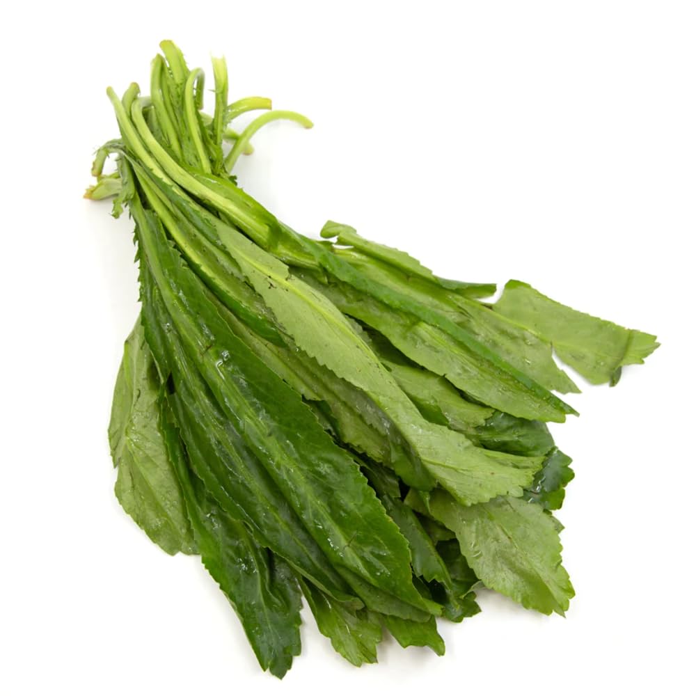 Congo Since 1979 Culantro (13oz Package) (Shipping Included)