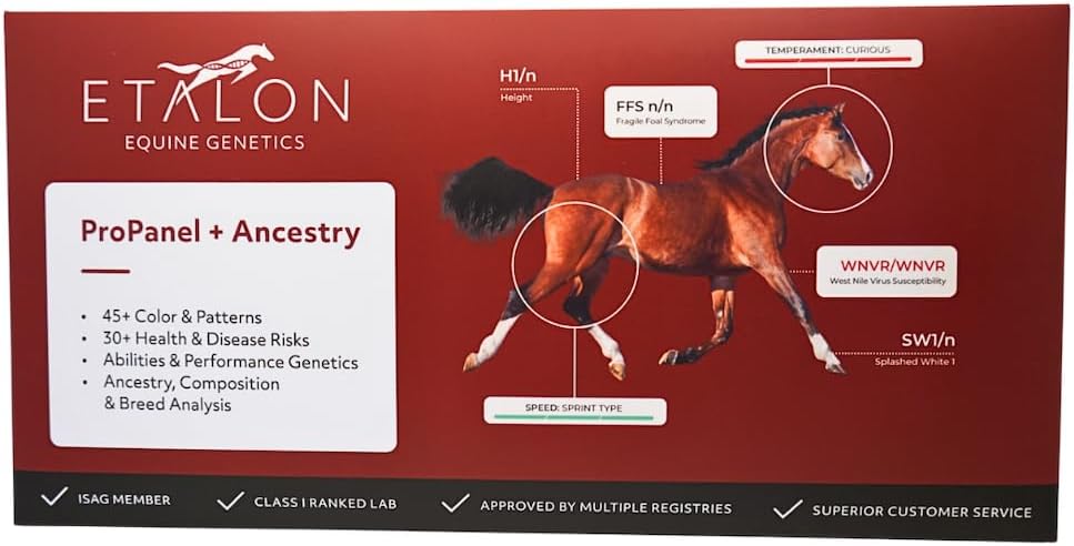 Etalon Equine Genetics Pro Package + Ancestry Horse DNA Test, Genetic Testing Plus Ancestry (70+ Traits) - Identify Equine Breed Composition & DNA - Test for Coat Color, Diseases, Abilities