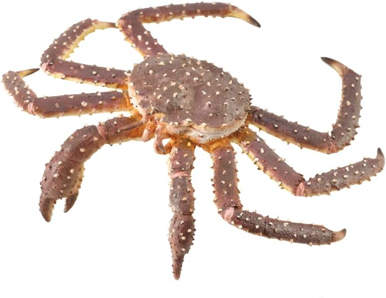 CollectA King Crab