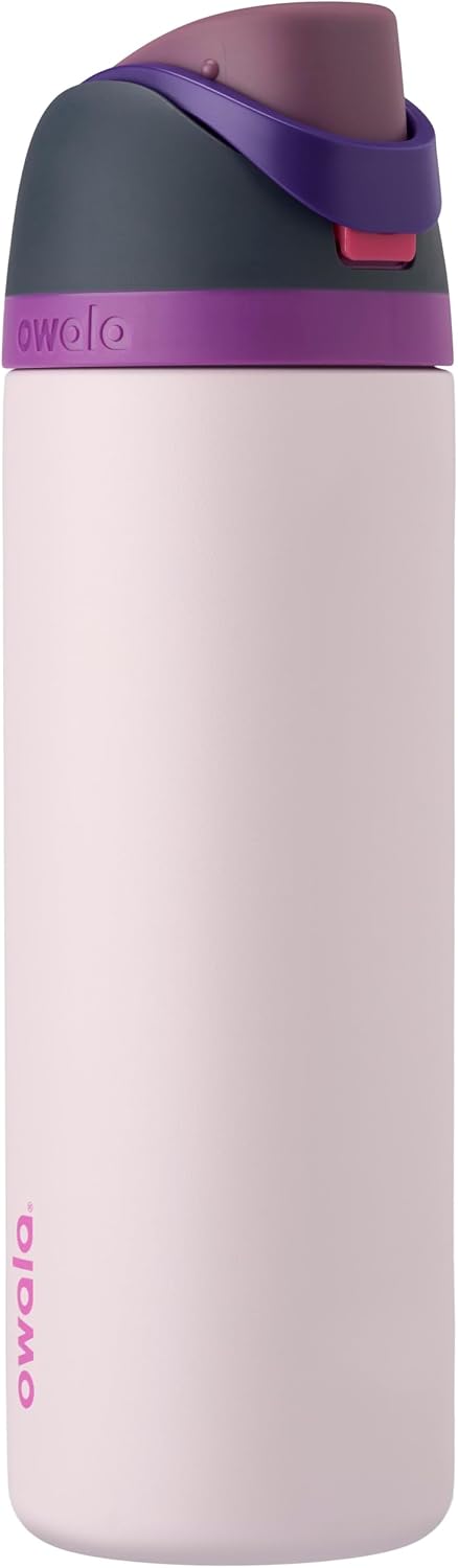 Owala FreeSip Insulated Stainless Steel Water Bottle with Straw for Sports and Travel, Leak Proof, BPA-Free, 710ml, Dreamy Field