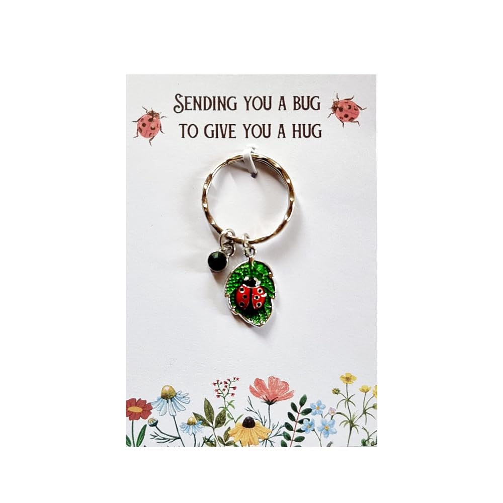 Ladybird Keyring 'Sending you a bug to give you a hug' Ladybug Keychain -Pick Me Up Gift for Women, Friends well being gifts for her; Thoughtful You've got this gifts for women