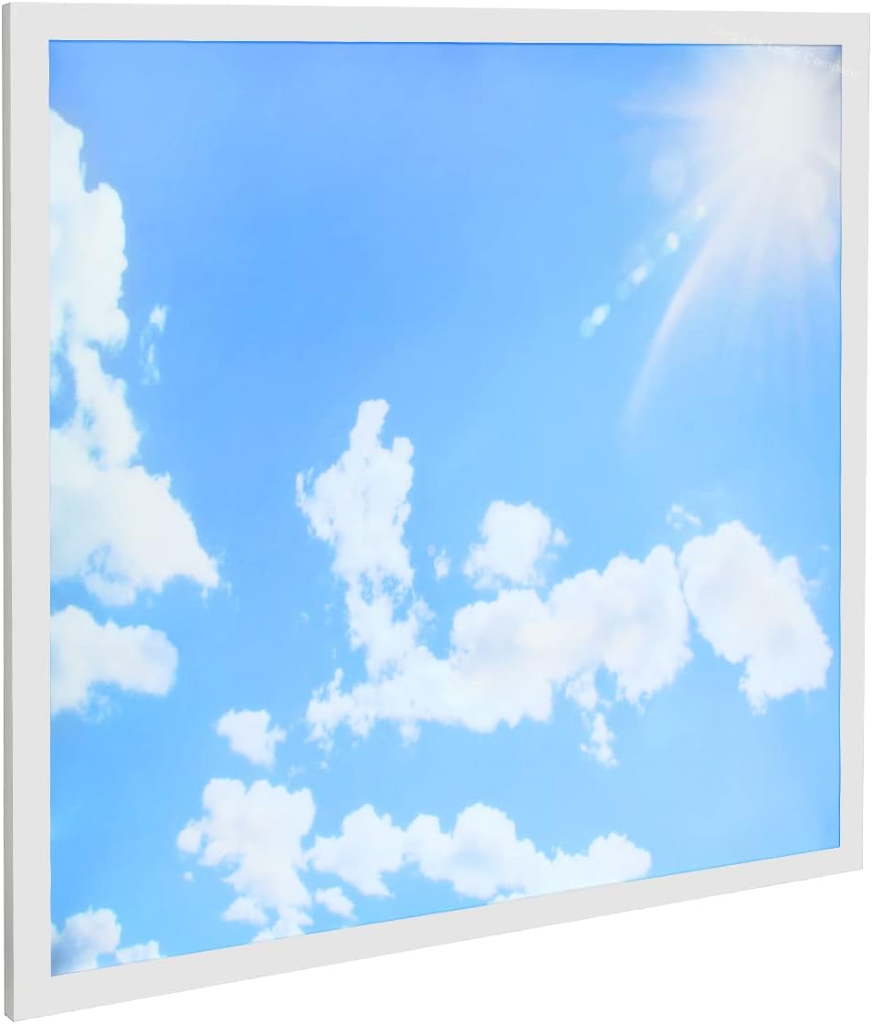 Long Life Lamp Company 40w Blue Sky LED Ceiling Panel 600 x 600 Sun Cloud Scene Recessed Office Light with Transformer