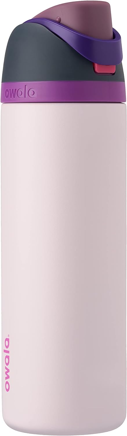 Owala FreeSip Insulated Stainless Steel Water Bottle with Straw for Sports, Travel, and School BPA-Free Sports Water Bottle, 24 oz, Dreamy Field