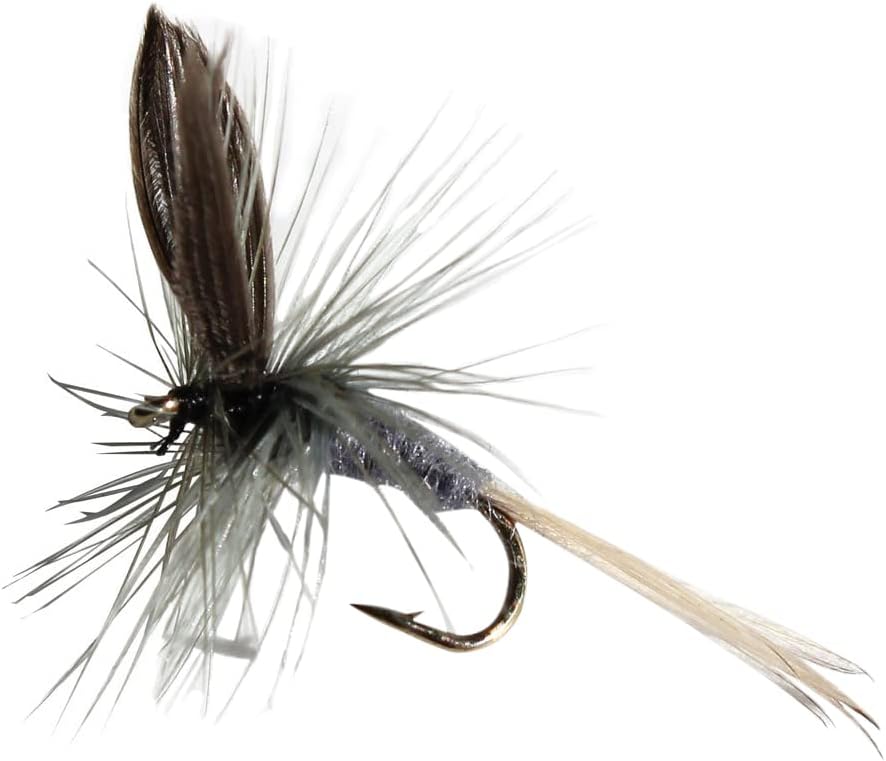 Blue Dun Assortment Trout Fishing Flies (1-Dozen)