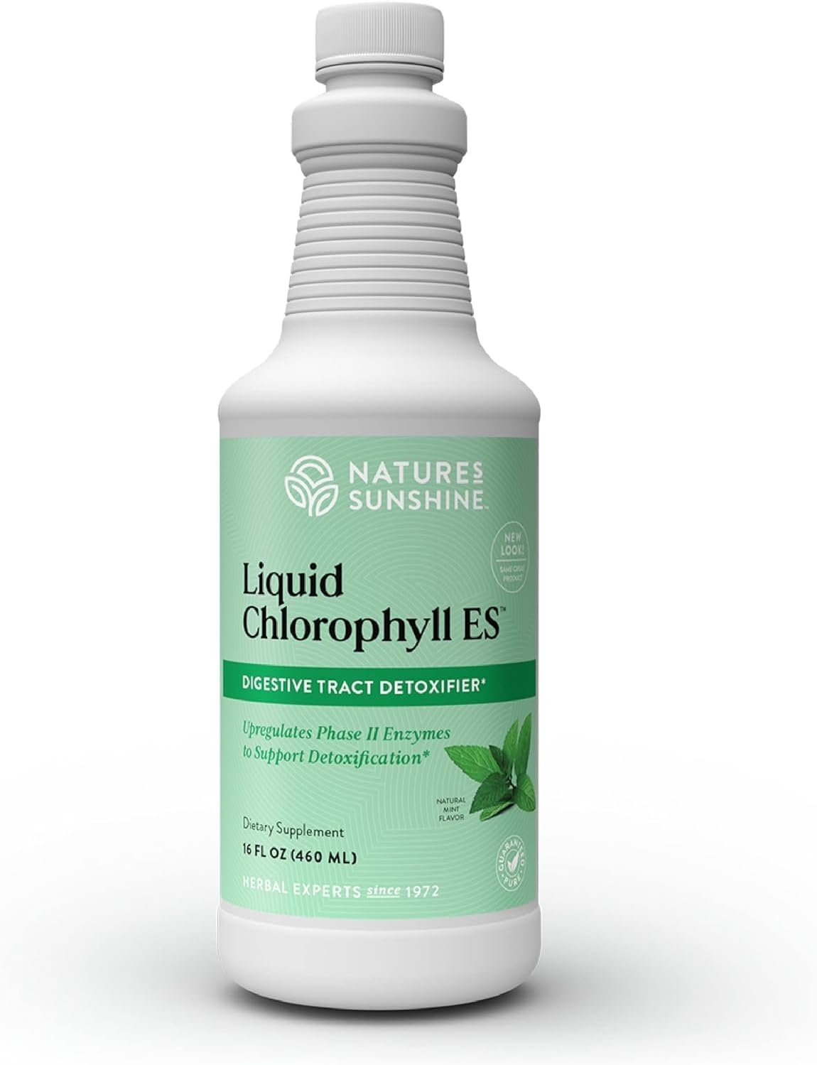 Nature's Sunshine Liquid Chlorophyll Extra Strength - Immunity Support, Detox & Cleanse, Chlorophyll Liquid Drops with Spearmint Oil, Natural Energy Boost, Internal Deodorant - 16 Fl Oz