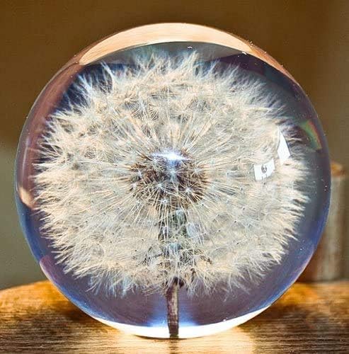Paperweight Dandelion Dream Ball. Crystal Wishing Ball. Unique Paperweight Made of Dandelion. The perfect gift. (9 cm) diameter
