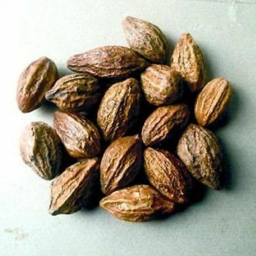 Whole Harde Terminalia Chebula/Haritaki/Black Myrobalan by Masala Cottage® 25g-1.9kg (50, Grams)