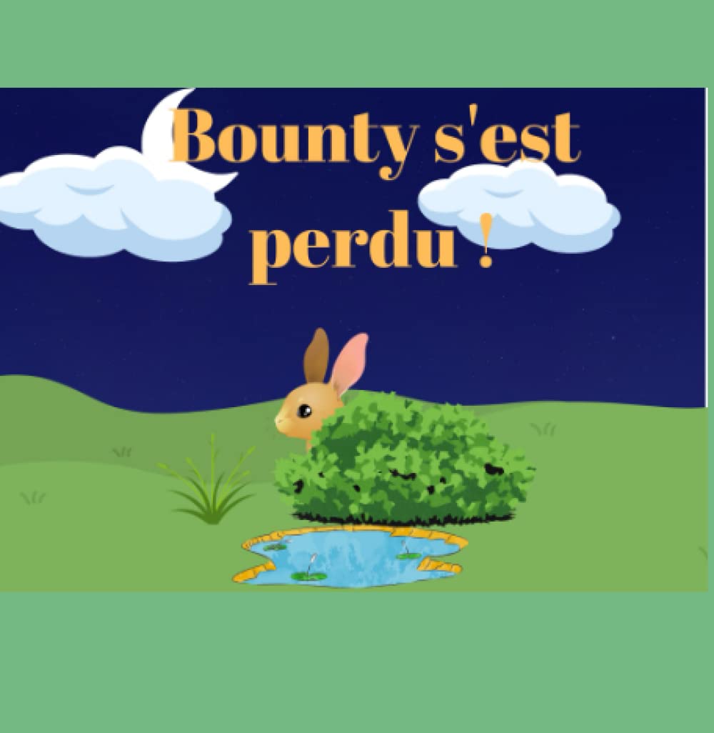 Bounty s'est perdu !