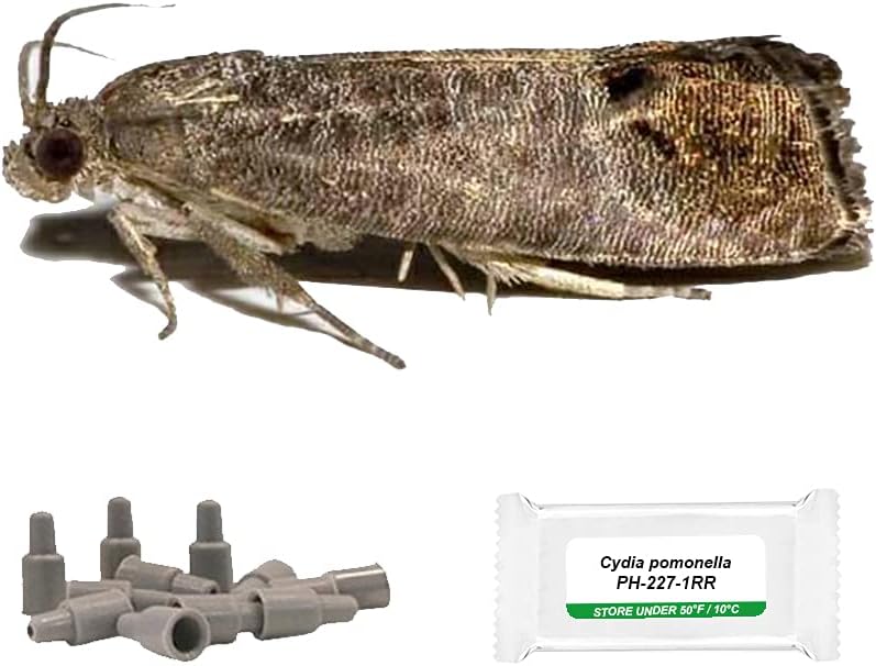IPM Direct Pack of 3 Moth Trap Attractant Pheromones (Codling Moth)