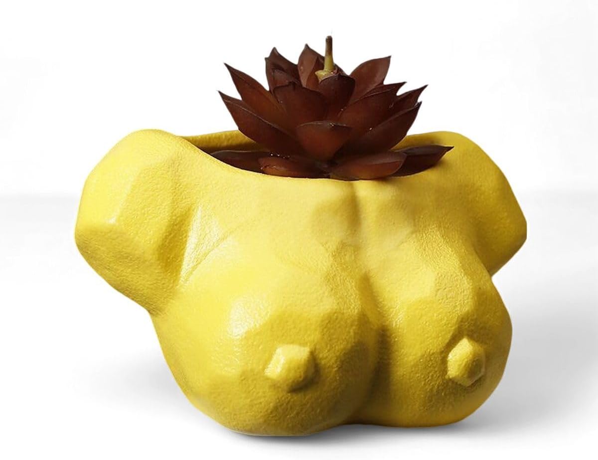 3.34chin Funny Boob Planter, Female Body Flower Pot, Ceramics Bust Planter, Cool Planters for Outdoor Indoor Plants, Fashion Women Gift, Living, Bedroom & Office (Yellow)