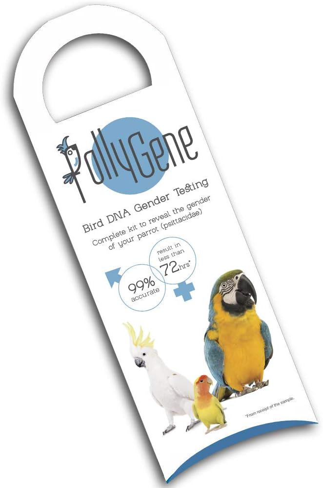 1 Bird DNA Gender Testing Kit for Parrots, Lovebirds, Cockatoos, Macaw, Grey African, Cockatiels, Conure and more than 300 Psittacines. Collection Kit & Certificate Included.