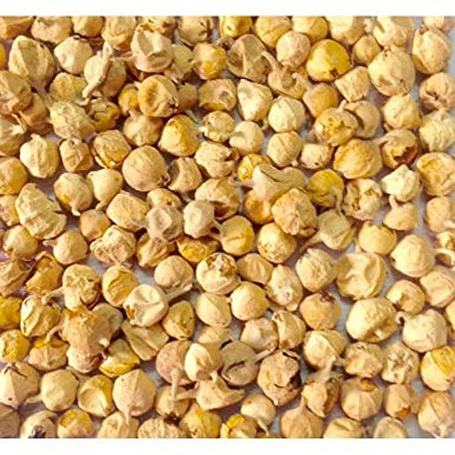 Exportmall Paneer Dodi | Indian Rennet | Paneer Doda | Withania Coagulans 100Gram