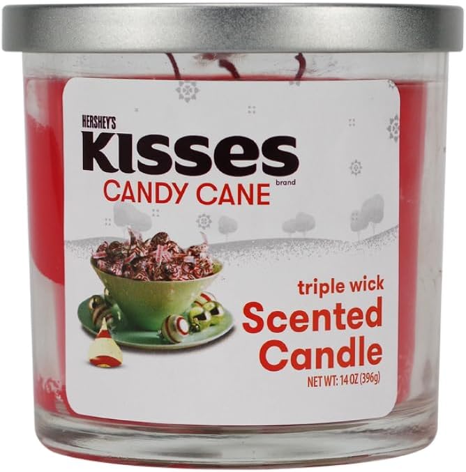 Large Triple Wick Scented Jar Candle 14 oz. with Lid