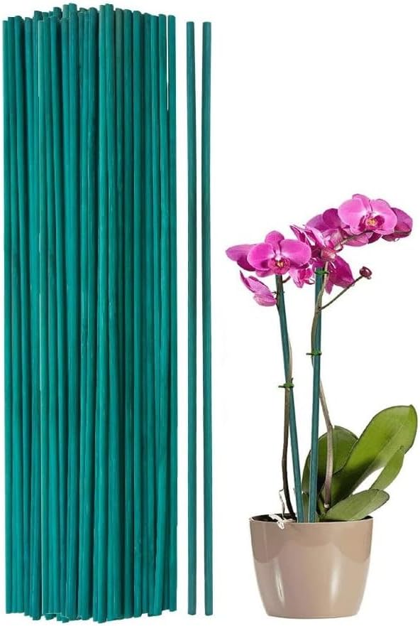 Pack of 50-36" 90cm Long Green Flower Sticks Bamboo Split Canes Plant Support Stakes