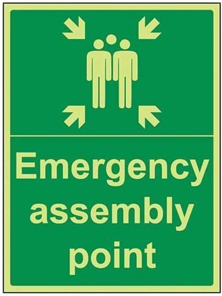 VSafety 17016BC-G "Emergency Fire Assembly Point" Sign, Glow In Dark, 1 mm Plastic, Portrait, 300 mm x 400 mm, Green