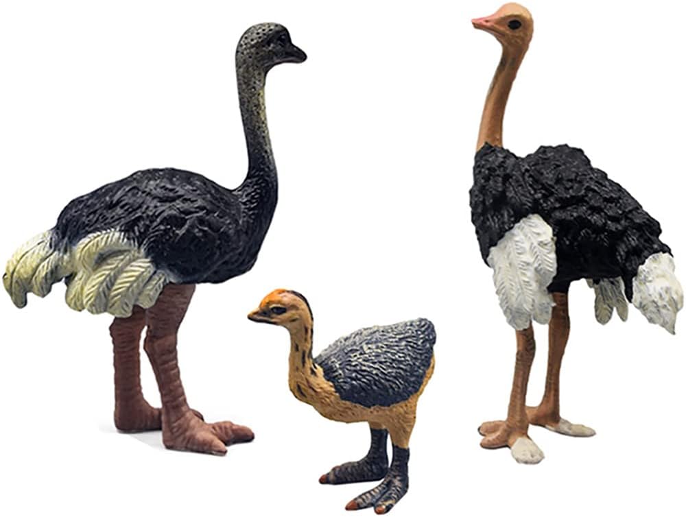 3 Pcs Realistic Ostrich Family Figurines Cake Topper, Plastic Wildlife Animal Toy Figures Collection Playset Birthday Gift Educational Learning Props