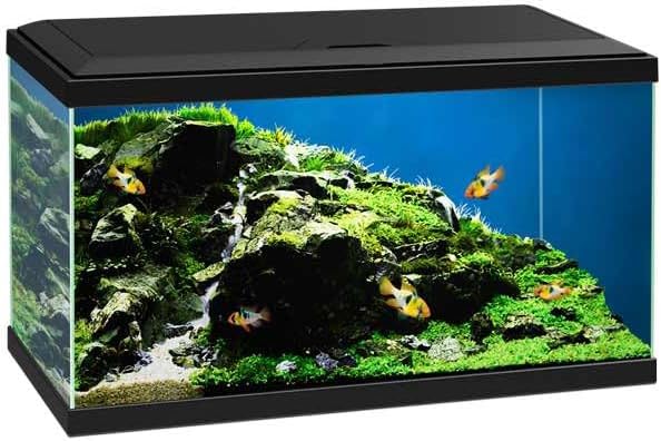 Love Aquatics 60 LED Tropical Glass Black Aquarium - Includes Filter, Lights & Heater 58L Fish Tank With FREE Syphon Kit and Thermometer