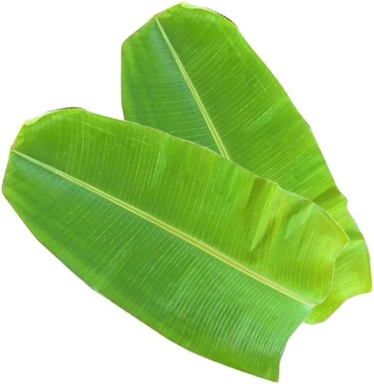 Fresh Banana Leaf 2Pcs | Green Leaf | Used for Various Cooking Purposes | Traditional Dining Pooja Purpose | Fresh Leaf | Nutritional Benefits | Healthy Leaves | Approx 200G