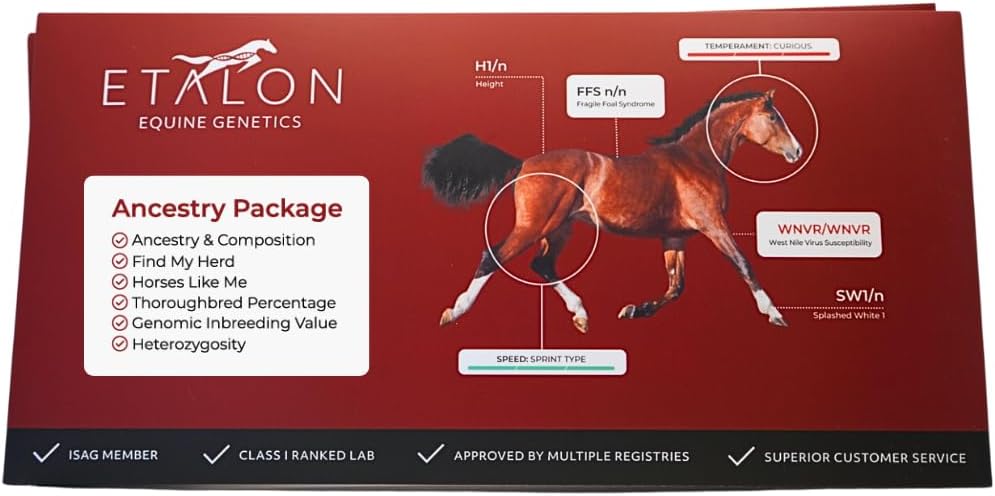 Equine Genetic Ancestry DNA Test Kit, Horse Breed Composition, Relative Finder, Inbreeding Analysis