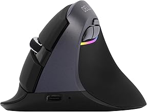 DeLUX Wireless Vertical Mouse, Small Silent Ergonomic Mouse with BT 5.0 and USB Receiver, 6 Buttons and 4000 DPI, RGB Rechargeable Mouse for Carpal Tunnel (M618mini-Iron Gray)