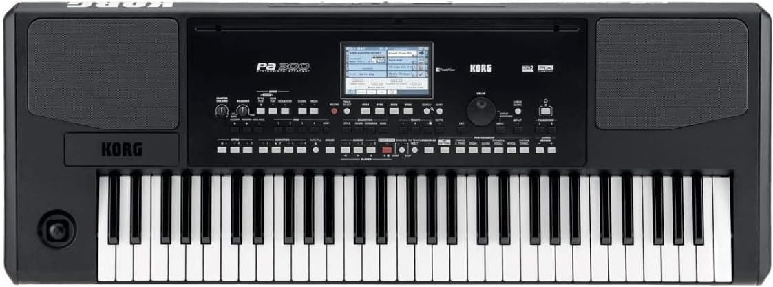Korg 61-Key Arranger Color Touchview Display (PA300)