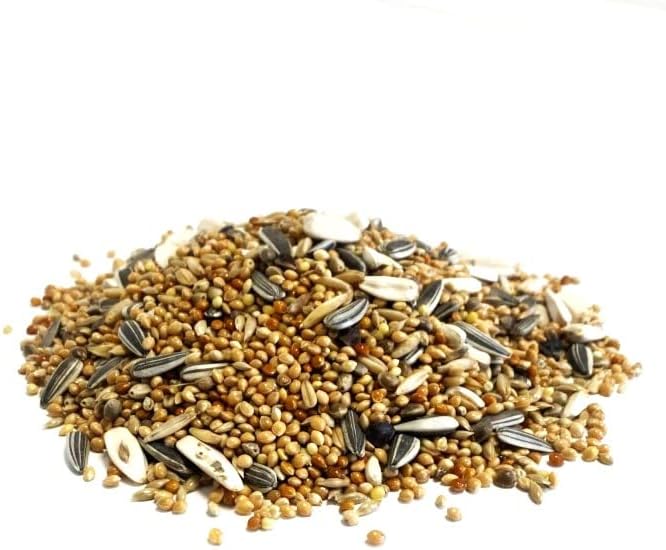 Maltbys' Stores 1904 Limited 5kg COCKATIEL and PARAKEET SEED MIXED CAGE BIRD FOOD