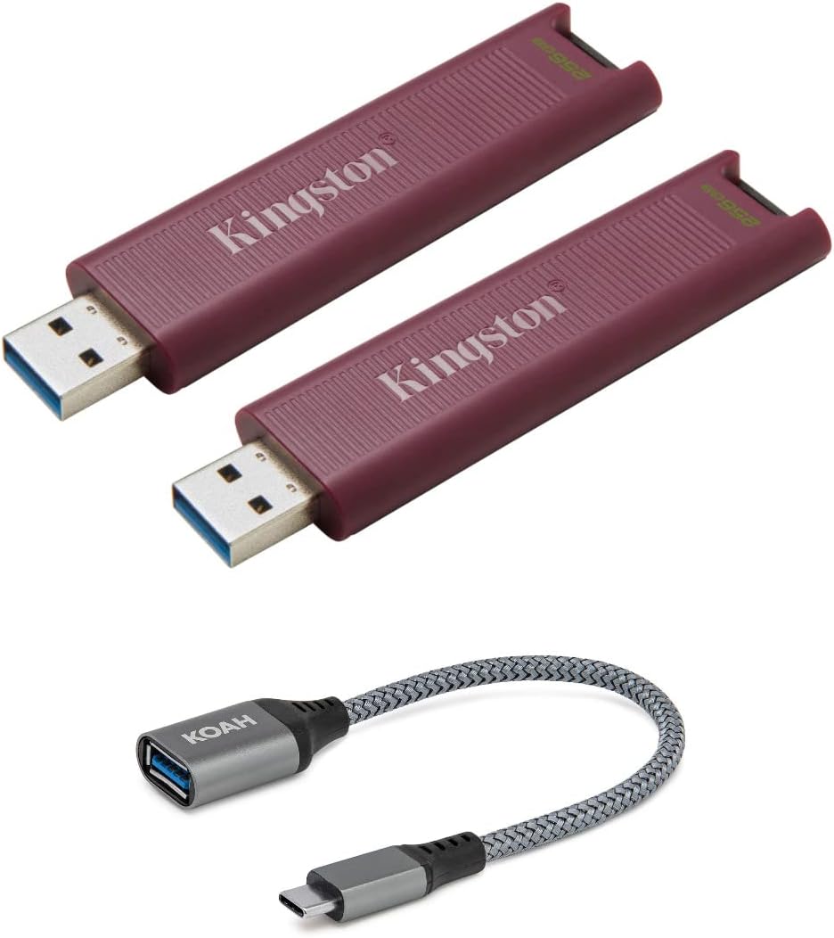 Kingston DataTraveler Max Type-A 256GB High Performance USB Flash Drive (2-Pack) Bundle with USB-C Adapter (3 Items)