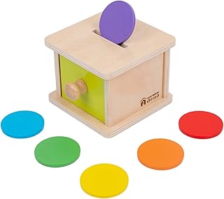 Adena Montessori Coin Box,Object Permanence Box Toys for 1 Year Old Baby Coins,Wooden Montessori Ball Drop Toys Developmental Toys for 6-12 Month Infant Toys,Learning Kids Gifts(Yellow-Green Door)