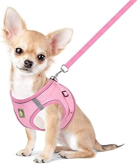 FEimaX No Pull Dog Harness and Leash Set, Soft Mesh Harnesses Vest Reflective Escape Proof for Small Dogs Cats Vest Adjustable Pet Outdoor Harnesses for Puppy Kitten Rabbit