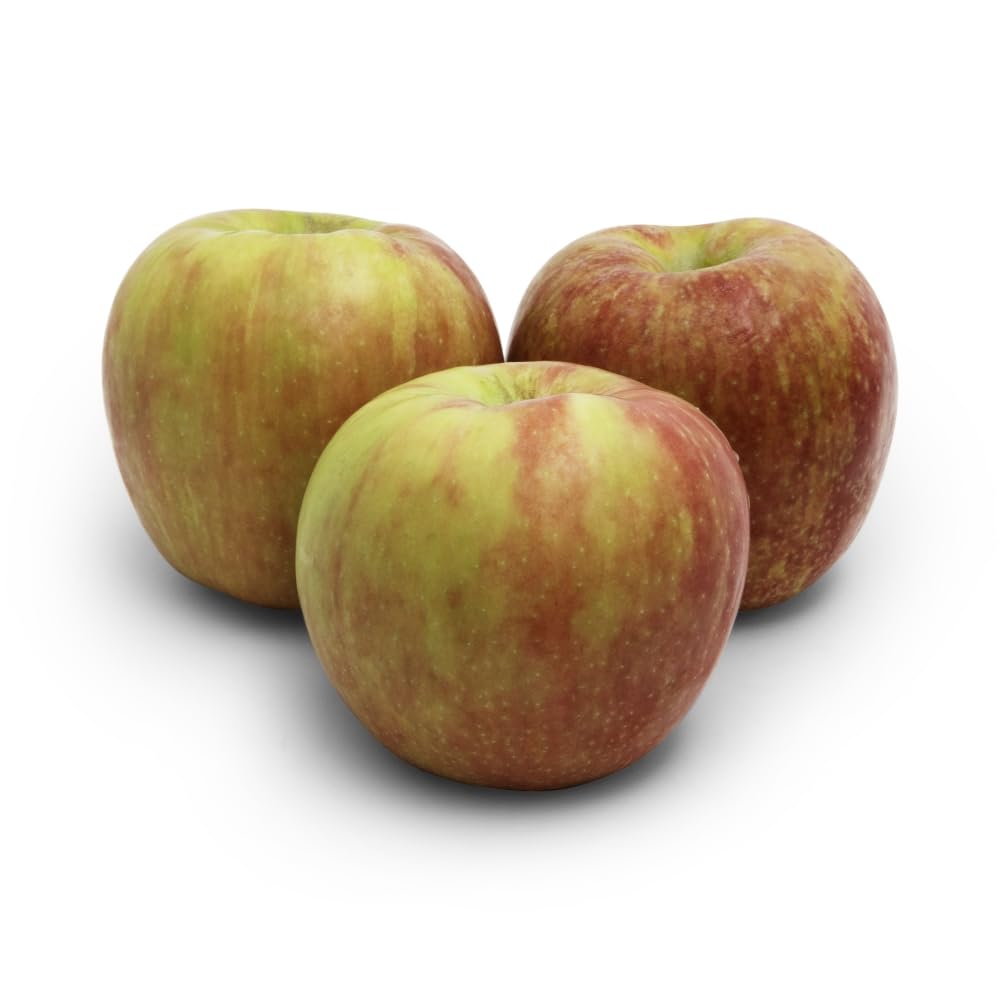 Organic Apple Honeycrisp, 48 Ounce Bag