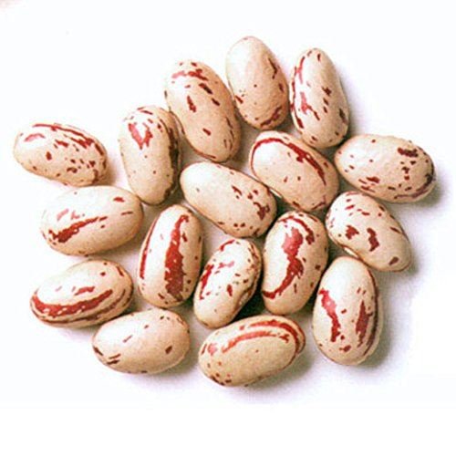 Rosecoco Beans (crab eye beans) - 1kg