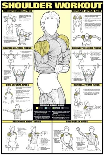 ALGRA Shoulder Workout 24" X 36" Laminated